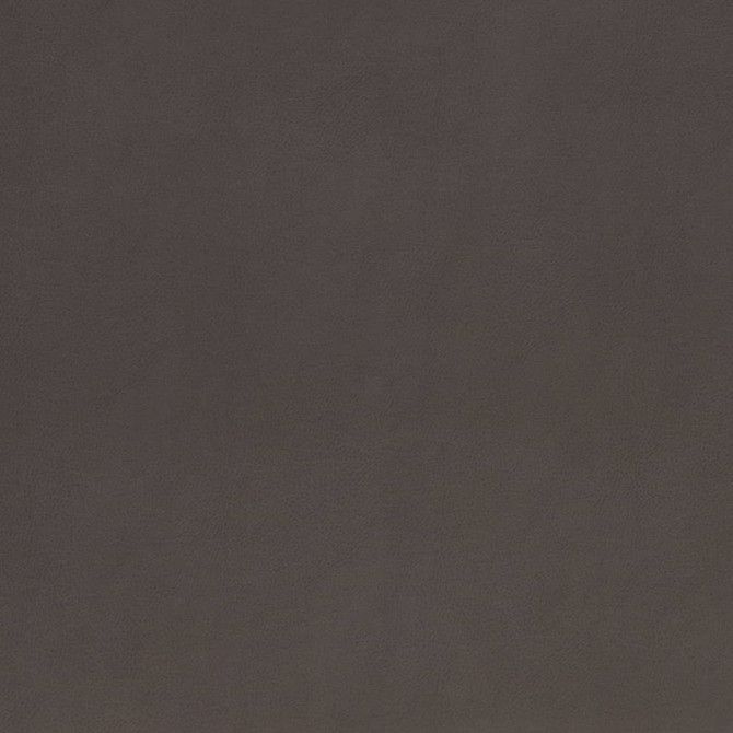 V867 Onyx by Charlotte Fabric Leather Looks 69% Polyurethane, 28% Polyester, 3% Cotton Asia Exceeds 100,000 Wyzenbeek Rubs (Heavy Duty) No Repeat 54 Inches - Fabric Carolina -