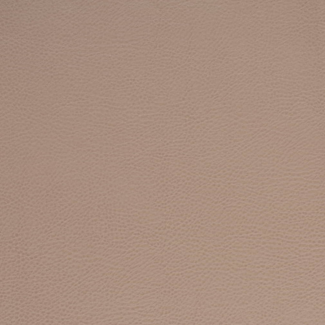 V875 Clay by Charlotte Fabric Leather Looks 100% Polyurethane Asia Exceeds 100,000 Wyzenbeek Rubs (Heavy Duty) No Repeat 54 Inches - Fabric Carolina -