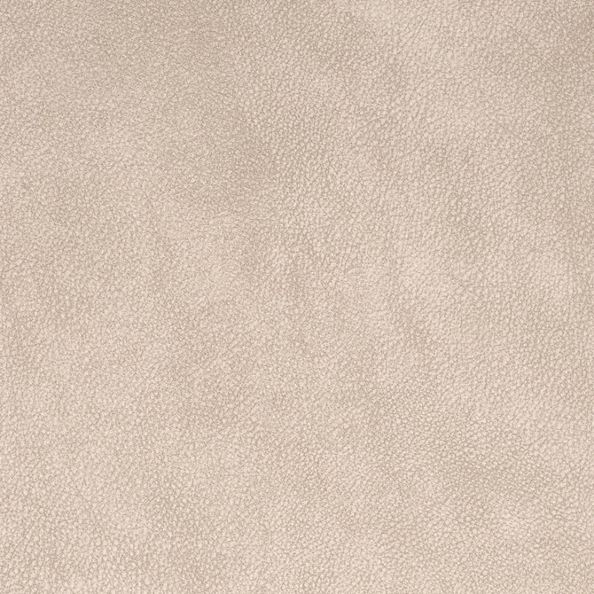 V882 Ash by Charlotte Fabric Leather Looks 75% Polyester, 25% Polyurethane Asia Exceeds 100,000 Wyzenbeek Rubs (Heavy Duty) No Repeat 54 Inches - Fabric Carolina -