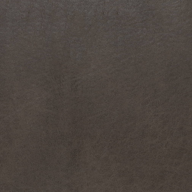 V895 Steel by Charlotte Fabric Leather Looks 79% Polyester, 21% Polyurethane Asia Exceeds 100,000 Wyzenbeek Rubs (Heavy Duty) No Repeat 54 Inches - Fabric Carolina -