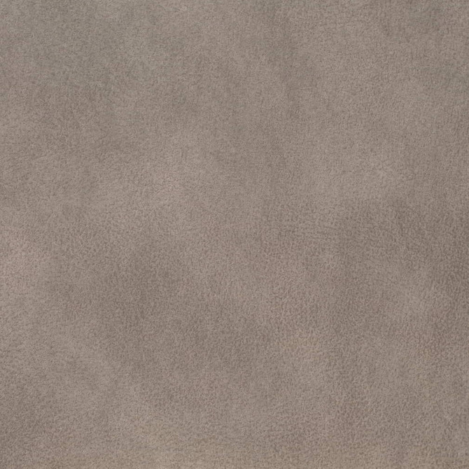 V899 Pebble by Charlotte Fabric Leather Looks 100% Polyester Asia Exceeds 100,000 Wyzenbeek Rubs (Heavy Duty) No Repeat 54 Inches - Fabric Carolina -
