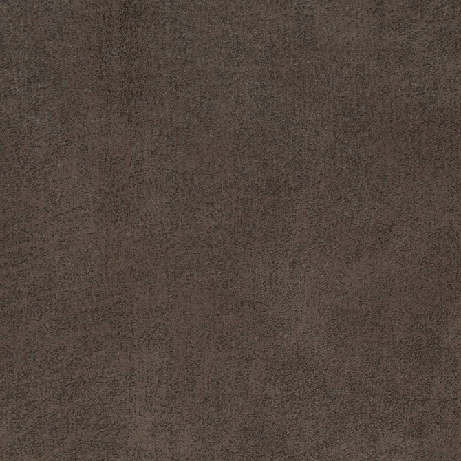 V904 Mink by Charlotte Fabric Leather Looks 72% Polyester, 24% Cotton, 4% Rayon Asia Exceeds 100,000 Wyzenbeek Rubs (Heavy Duty) No Repeat 54 Inches - Fabric Carolina -