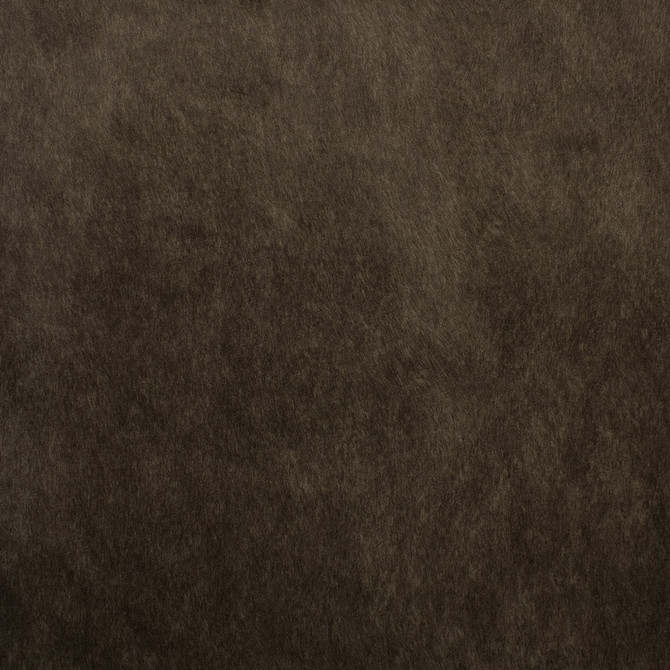 F5572 Espresso by Greenhouse Designer Fabric 100% Polyester China 50,000 </p><p>Repeat: None 55" - Swanky Fabrics -