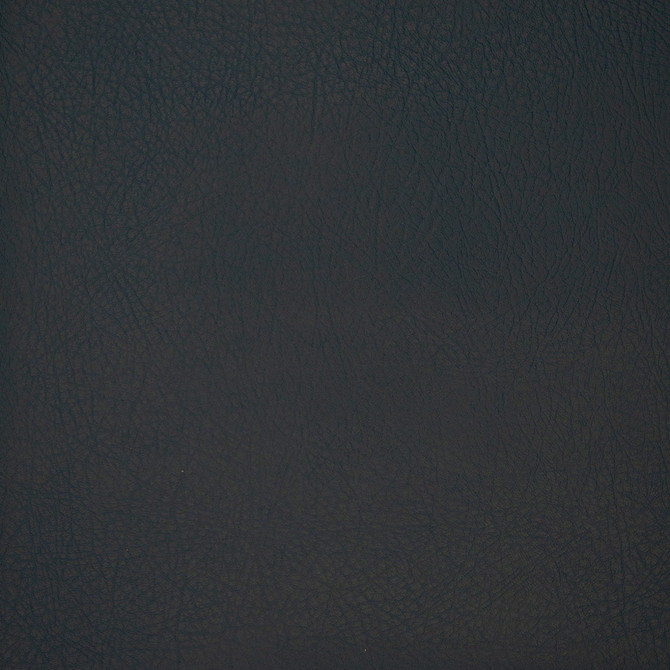 F4985 Atlantic by Greenhouse Designer Fabric Face: 100% Pu, Back: 100% Polyester China 100,000 </p><p>Repeat: None 54" - Swanky Fabrics -