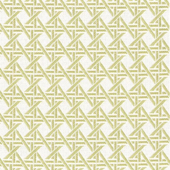 F4595 Fern by Greenhouse Designer Fabric 100% Solution-Dyed Polyester China 50,000 </p><p>Repeat: 1.23" H, 1.23" V 56" - Swanky Fabrics - F4595 Fern by Greenhouse Designer Fabric 100% Solution-Dyed Polyester China 50,000 </p><p>Repeat: 1.23" H, 1.23" V 56" - Swanky Fabrics -