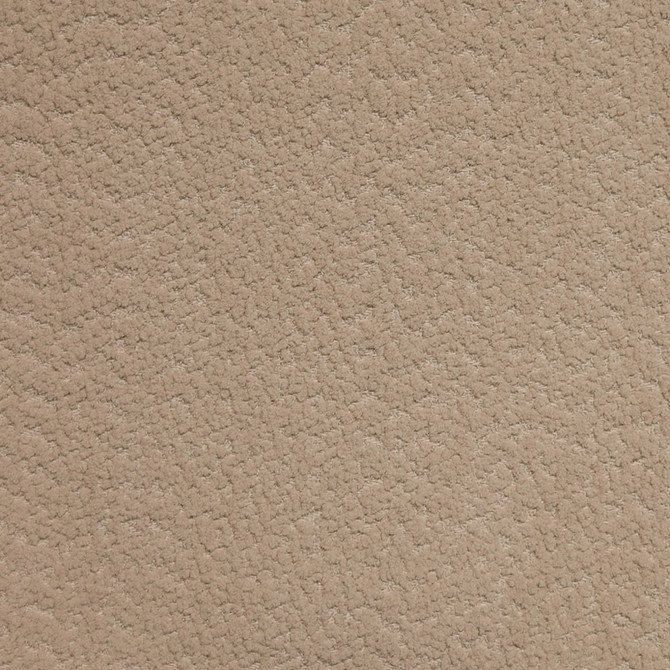 F4669 Flannel by Greenhouse Designer Fabric 100% Polyester China 50,000 </p><p>Repeat: None 54" - Swanky Fabrics -