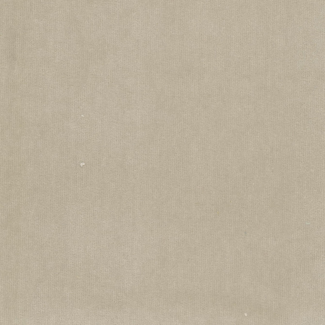 Spock 8 Birch by Stout Fabric Stout Fabric Spock 8 BirchFabric SOLID VELVETS PLUSH PALETTE 100%POL INDONESIA </p><p>Repeat: H: 0.000, V: 0.000 55 in - Fabric Carolina -