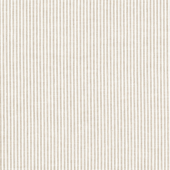 Sugarhill 1 Mushroom by Stout Fabric Stout Fabric Sugarhill 1 MushroomFabric COMFORTABLE LIVING DOVE/MUSHROOM 53%COT 47%POL INDIA </p><p>Repeat: H: 0.250, V: 0.000 54 in - Fabric Carolina -