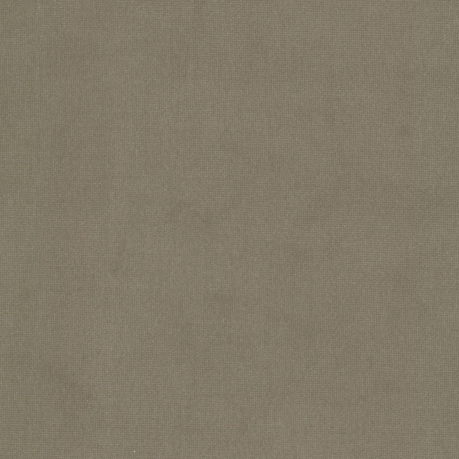 Queen 25 Sandstone by Stout Fabric Stout Fabric Queen 25 SandstoneFabric SOLID VELVETS PLUSH PALETTE 95%POL 5%COT CHINA </p><p>Repeat: H: 0.000, V: 0.000 54 in - Fabric Carolina - Queen 25 Sandstone by Stout Fabric Stout Fabric Queen 25 SandstoneFabric SOLID VELVETS PLUSH PALETTE 95%POL 5%COT CHINA </p><p>Repeat: H: 0.000, V: 0.000 54 in - Fabric Carolina -