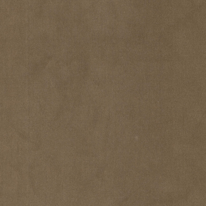 Queen 1 Lion by Stout Fabric Stout Fabric Queen 1 LionFabric SOLID VELVETS PLUSH PALETTE 95%POL 5%COT CHINA </p><p>Repeat: H: 0.000, V: 0.000 54 in - Fabric Carolina -