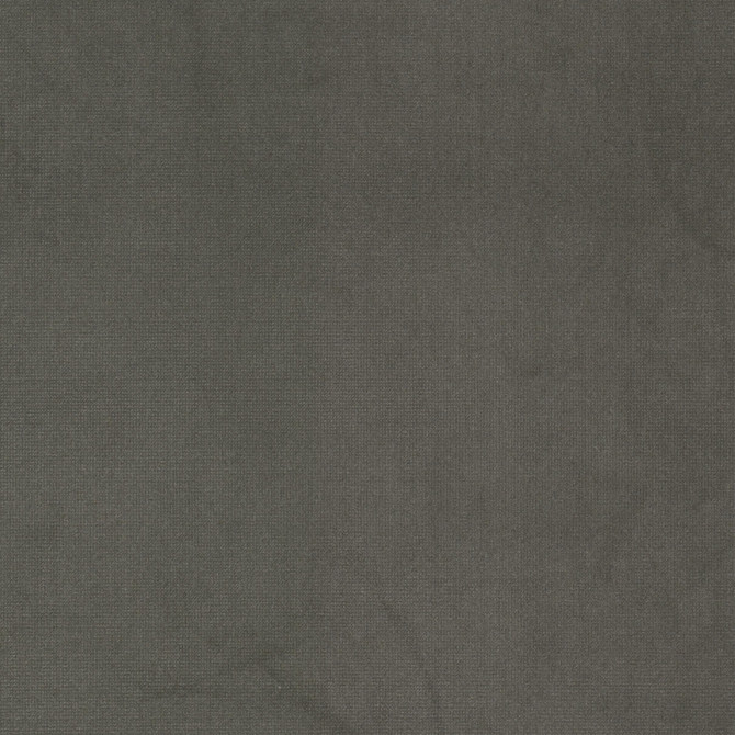 Queen 3 Shadow by Stout Fabric Stout Fabric Queen 3 ShadowFabric SOLID VELVETS PLUSH PALETTE 95%POL 5%COT CHINA </p><p>Repeat: H: 0.000, V: 0.000 54 in - Fabric Carolina - Queen 3 Shadow by Stout Fabric Stout Fabric Queen 3 ShadowFabric SOLID VELVETS PLUSH PALETTE 95%POL 5%COT CHINA </p><p>Repeat: H: 0.000, V: 0.000 54 in - Fabric Carolina -