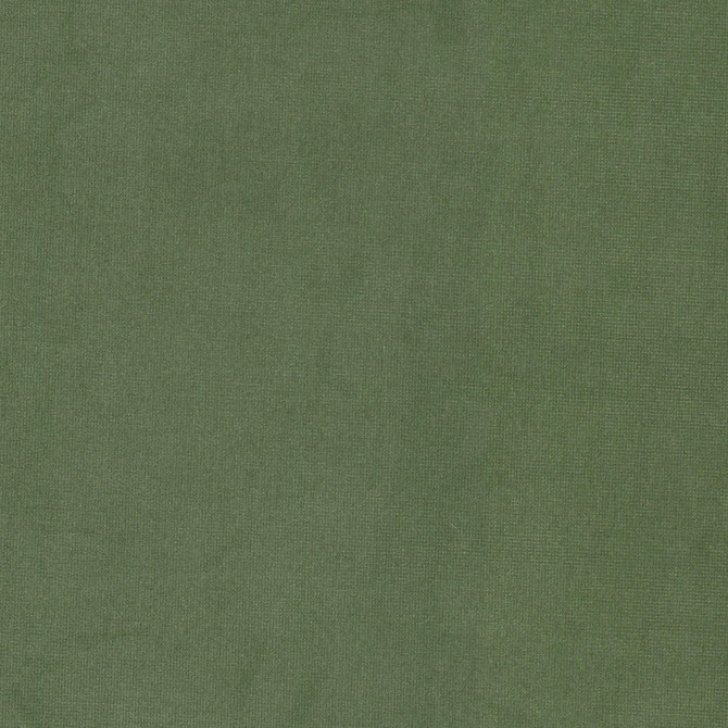 Queen 7 Sage by Stout Fabric Stout Fabric Queen 7 SageFabric SOLID VELVETS PLUSH PALETTE 95%POL 5%COT CHINA </p><p>Repeat: H: 0.000, V: 0.000 54 in - Fabric Carolina -