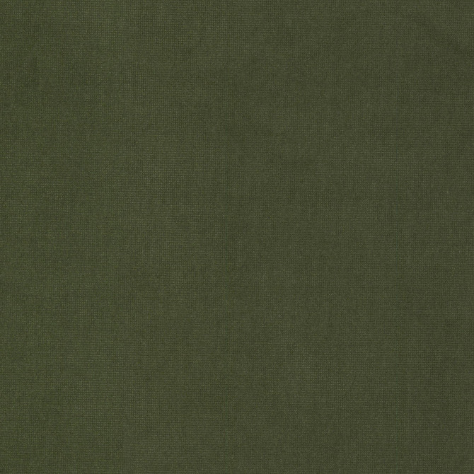 Queen 9 Chive by Stout Fabric Stout Fabric Queen 9 ChiveFabric SOLID VELVETS PLUSH PALETTE 95%POL 5%COT CHINA </p><p>Repeat: H: 0.000, V: 0.000 54 in - Fabric Carolina -