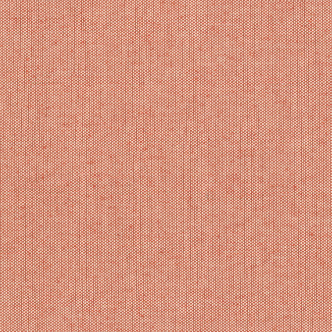 Basking 2 Orange by Stout Fabric Stout Fabric Basking 2 OrangeFabric COMFORTABLE LIVING ROSEWOOD/PEONY 78%COT 22%POL USA </p><p>Repeat: H: 0.000, V: 0.000 55 in - Fabric Carolina -