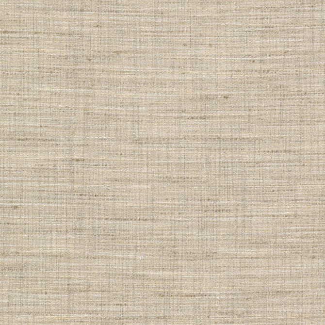 Stopper 1 Champagne by Stout Fabric Stout Fabric Stopper 1 ChampagneFabric RAINBOW LIBRARY SANDUNE/DESERT 100%POL INDIA </p><p>Repeat: H: 0.000, V: 0.000 55 in - Fabric Carolina -