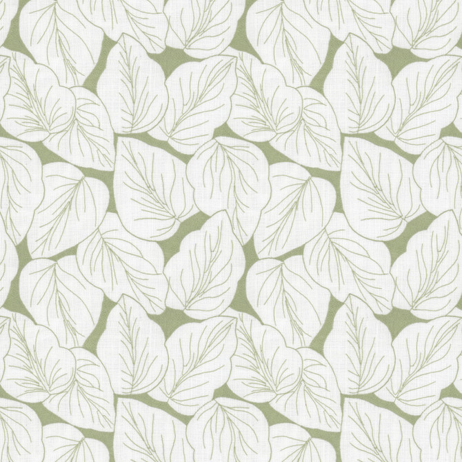 Translate 2 Pear by Stout Fabric Stout Fabric Translate 2 PearFabric RAINBOW LIBRARY PISTACHIO/CHIVE 70%POL 30%COT %PEMB INDIA </p><p>Repeat: H: 12.875, V: 15.500 52 in - Fabric Carolina -