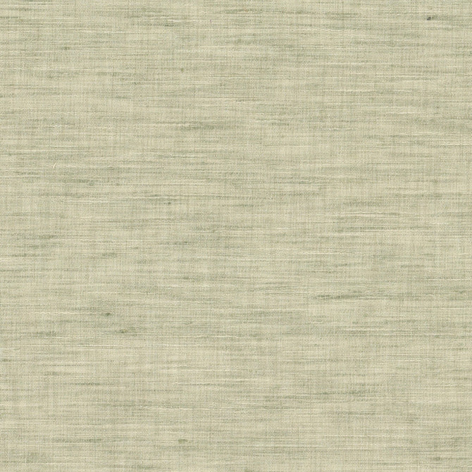 Tyler 1 Celery by Stout Fabric Stout Fabric Tyler 1 CeleryFabric COLOR MY WINDOW HAZE/SHORELINE 100%POL INDIA </p><p>Repeat: H: 0.000, V: 0.000 54 in - Fabric Carolina -
