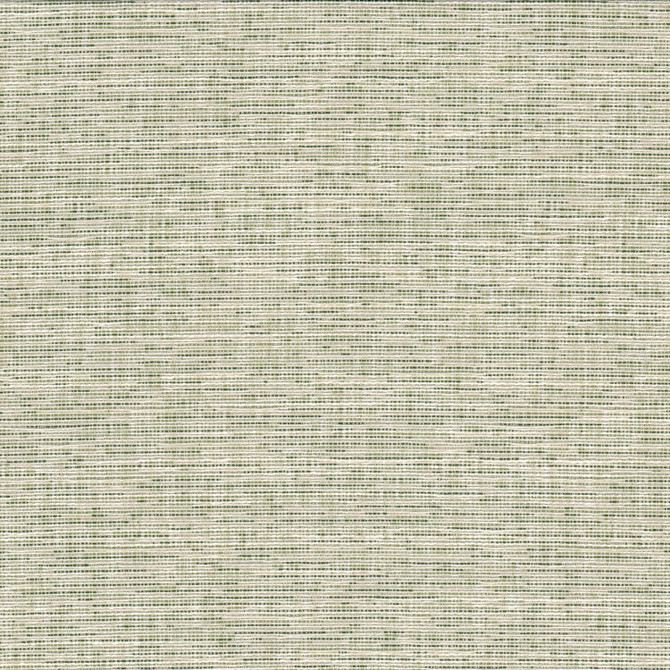 Record 1 Grass by Crypton Fabric Crypton Fabric Record 1 GrassFabric LIVING IS EASY CRYPTON SHADES OF COLOR 81%POL 19%SVI USA </p><p>Repeat: H: 0.000, V: 0.000 54 in - Fabric Carolina - Record 1 Grass by Crypton Fabric Crypton Fabric Record 1 GrassFabric LIVING IS EASY CRYPTON SHADES OF COLOR 81%POL 19%SVI USA </p><p>Repeat: H: 0.000, V: 0.000 54 in - Fabric Carolina -