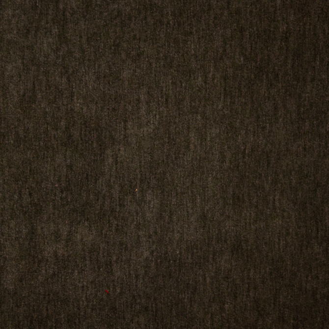 Belluno 120 Ganache by Maxwell Designer Fabric TELAFINA SEASON XVI 50% MOHAIR TURKEY   55.5"  - Swanky Fabrics - Belluno 120 Ganache by Maxwell Designer Fabric TELAFINA SEASON XVI 50% MOHAIR TURKEY   55.5"  - Swanky Fabrics -