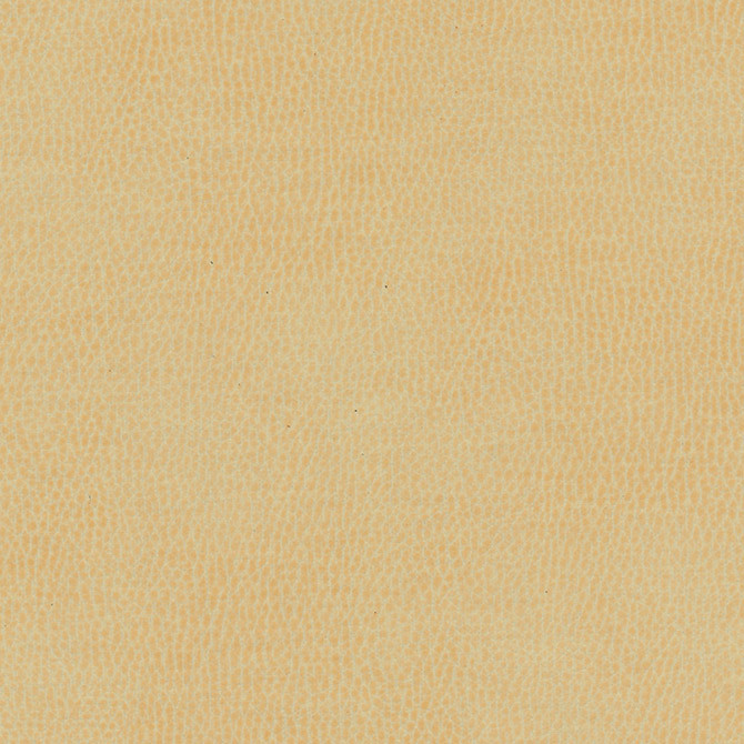 Top Grain-Nj 840 Boer by Maxwell Designer Fabric MEMOS ONLY-COATED FABRICS FACE: 100% SILICONE KOREA   54"  - Swanky Fabrics - Top Grain-Nj 840 Boer by Maxwell Designer Fabric MEMOS ONLY-COATED FABRICS FACE: 100% SILICONE KOREA   54"  - Swanky Fabrics -