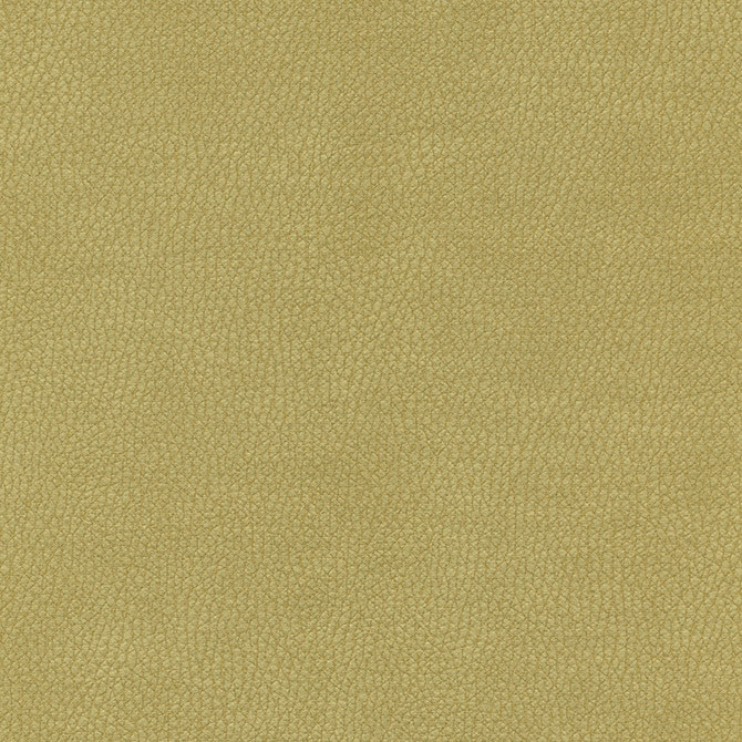 Top Grain-Nj # 865 Calla by Maxwell Designer Fabric Memos Only-Coated Fabrics FACE: 100% SILICONE
BACKING: 100% POLYESTER KOREA 54" - Swanky Fabrics -