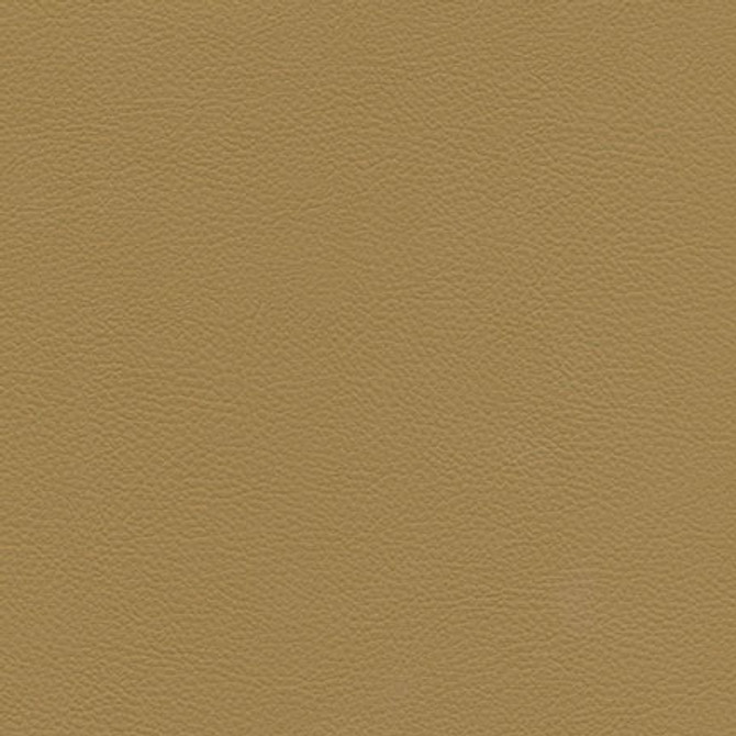 Catalyst-Nj # 517 Caramel by Maxwell Designer Fabric MEMOS ONLY-COATED FABRICS FACE: 100% SILICONE
BACKING: 100% POLYESTER KOREA 54" - Swanky Fabrics - Catalyst-Nj # 517 Caramel by Maxwell Designer Fabric MEMOS ONLY-COATED FABRICS FACE: 100% SILICONE
BACKING: 100% POLYESTER KOREA 54" - Swanky Fabrics -