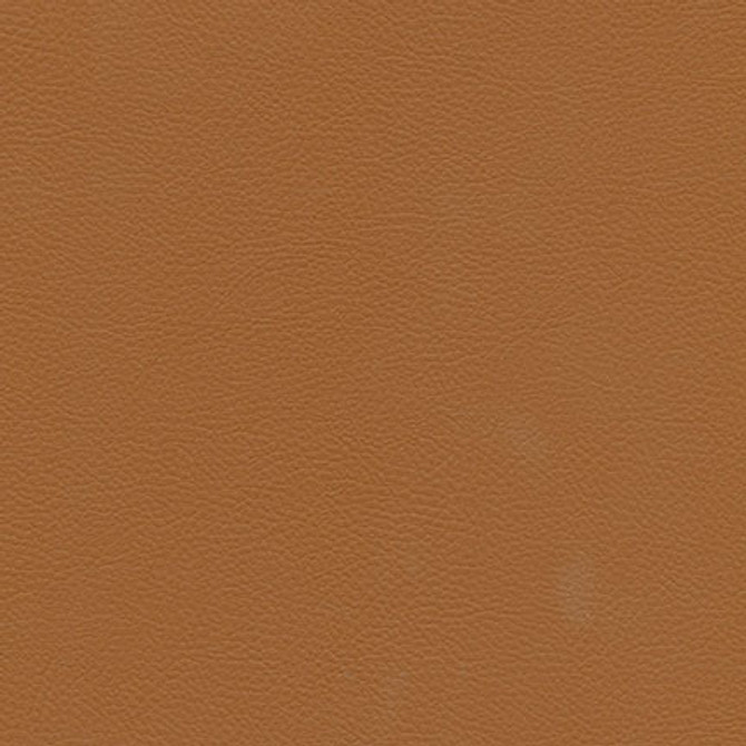 Catalyst-Nj 521 Ochre by Maxwell Designer Fabric MEMOS ONLY-COATED FABRICS FACE: 100% SILICONE KOREA   54"  - Swanky Fabrics - Catalyst-Nj 521 Ochre by Maxwell Designer Fabric MEMOS ONLY-COATED FABRICS FACE: 100% SILICONE KOREA   54"  - Swanky Fabrics -