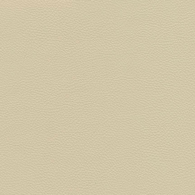 Catalyst-Nj 532 Cream by Maxwell Designer Fabric MEMOS ONLY-COATED FABRICS FACE: 100% SILICONE KOREA   54"  - Swanky Fabrics - Catalyst-Nj 532 Cream by Maxwell Designer Fabric MEMOS ONLY-COATED FABRICS FACE: 100% SILICONE KOREA   54"  - Swanky Fabrics -