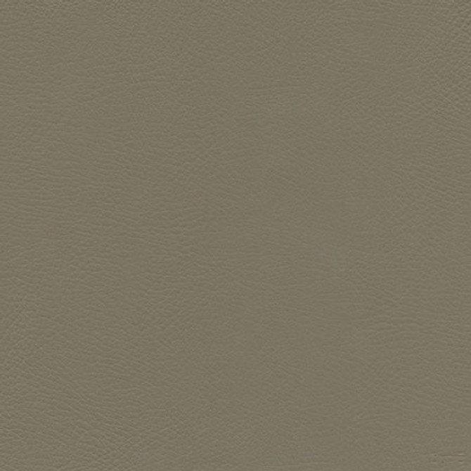 Herve-Nj # 741 Cave by Maxwell Designer Fabric MEMOS ONLY-COATED FABRICS FACE: 100% SILICONE BASE: 100% POLYURETHANE (POLYCARBONATE) BACKING: 65% POLYESTER
35% RAYON KOREA 54" - Swanky Fabrics - Herve-Nj # 741 Cave by Maxwell Designer Fabric MEMOS ONLY-COATED FABRICS FACE: 100% SILICONE BASE: 100% POLYURETHANE (POLYCARBONATE) BACKING: 65% POLYESTER
35% RAYON KOREA 54" - Swanky Fabrics -