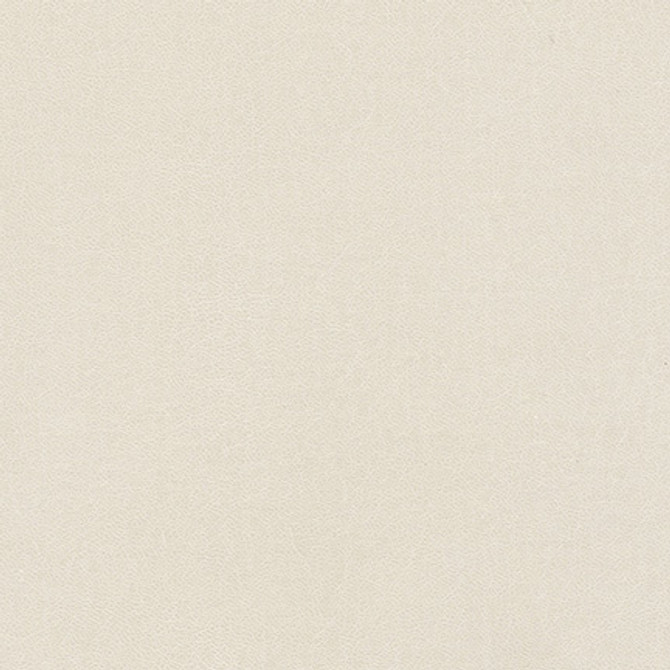 Knack-Nj 1272 Dove by Maxwell Designer Fabric MEMOS ONLY-COATED FABRICS FACE: 100% SILICONE
BASE: 100% POLYURETHANE (POLYCARBONATE)
BACKING: 65% POLYESTER KOREA   54"  - Swanky Fabrics - Knack-Nj 1272 Dove by Maxwell Designer Fabric MEMOS ONLY-COATED FABRICS FACE: 100% SILICONE
BASE: 100% POLYURETHANE (POLYCARBONATE)
BACKING: 65% POLYESTER KOREA   54"  - Swanky Fabrics -