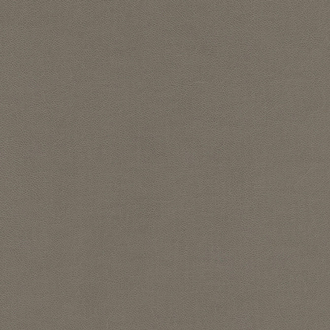 Knack-Nj # 1281 Smoke by Maxwell Designer Fabric MEMOS ONLY-COATED FABRICS FACE: 100% SILICONE BASE: 100% POLYURETHANE (POLYCARBONATE) BACKING: 65% POLYESTER
35% RAYON KOREA 54" - Swanky Fabrics - Knack-Nj # 1281 Smoke by Maxwell Designer Fabric MEMOS ONLY-COATED FABRICS FACE: 100% SILICONE BASE: 100% POLYURETHANE (POLYCARBONATE) BACKING: 65% POLYESTER
35% RAYON KOREA 54" - Swanky Fabrics -