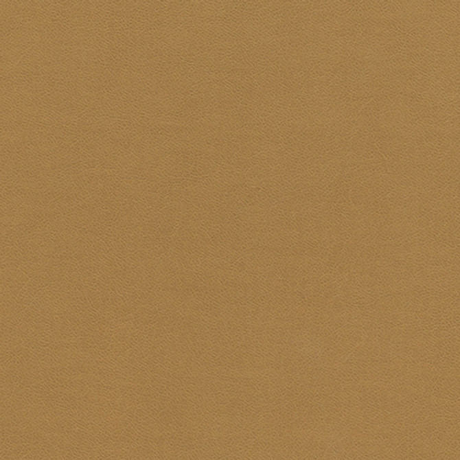 Knack-Nj 1286 Biscotti by Maxwell Designer Fabric MEMOS ONLY-COATED FABRICS FACE: 100% SILICONE
BASE: 100% POLYURETHANE (POLYCARBONATE)
BACKING: 65% POLYESTER KOREA   54"  - Swanky Fabrics - Knack-Nj 1286 Biscotti by Maxwell Designer Fabric MEMOS ONLY-COATED FABRICS FACE: 100% SILICONE
BASE: 100% POLYURETHANE (POLYCARBONATE)
BACKING: 65% POLYESTER KOREA   54"  - Swanky Fabrics -