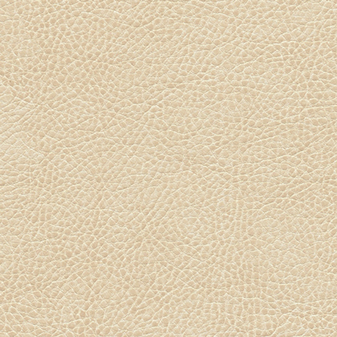 Fairbanks-Nj 419 Pulp by Maxwell Designer Fabric MEMOS ONLY-COATED FABRICS FACE: 100% POLYURETHANE BACKING: 65% POLYESTER CHINA   54"  - Swanky Fabrics - Fairbanks-Nj 419 Pulp by Maxwell Designer Fabric MEMOS ONLY-COATED FABRICS FACE: 100% POLYURETHANE BACKING: 65% POLYESTER CHINA   54"  - Swanky Fabrics -