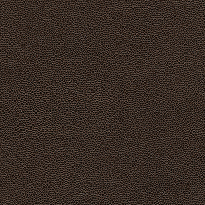 Rambutan-Nj 767 Trunk by Maxwell Designer Fabric MEMOS ONLY-COATED FABRICS FACE: 100% POLYURETHANE KOREA   54"  - Swanky Fabrics - Rambutan-Nj 767 Trunk by Maxwell Designer Fabric MEMOS ONLY-COATED FABRICS FACE: 100% POLYURETHANE KOREA   54"  - Swanky Fabrics -