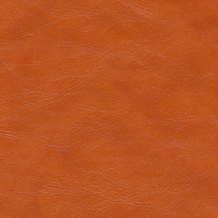 Linz-Nj # 249 Aventurine by Maxwell Designer Fabric Memos Only-Coated Fabrics FACE: 100% POLYURETHANE
BACKING: 65% POLYESTER
35% COTTON KOREA 54" - Swanky Fabrics -