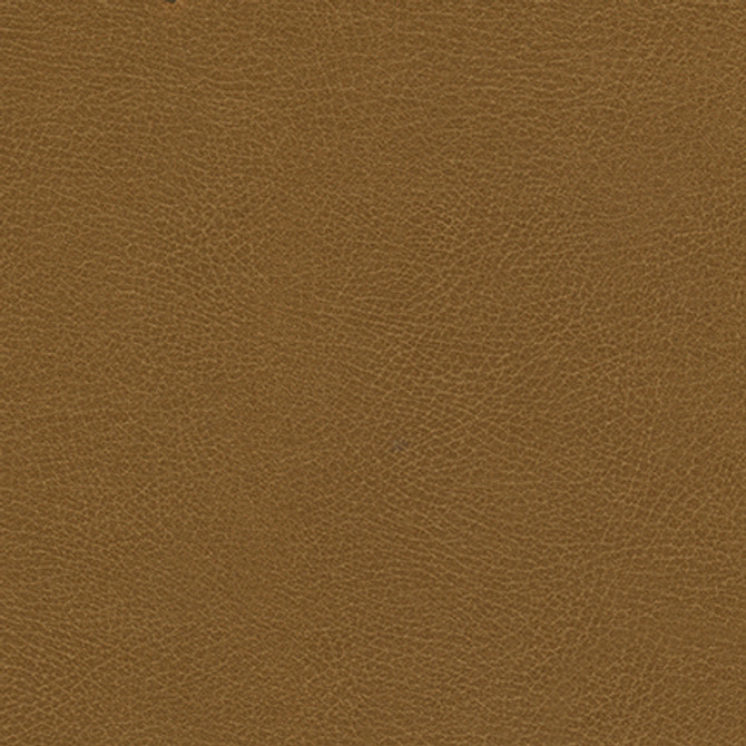 Rugged-Nj # 503 Tobacco by Maxwell Designer Fabric MEMOS ONLY-COATED FABRICS FACE: 100% POLYURETHANE
BACKING: 100% POLYESTER KOREA 54" - Swanky Fabrics - Rugged-Nj # 503 Tobacco by Maxwell Designer Fabric MEMOS ONLY-COATED FABRICS FACE: 100% POLYURETHANE
BACKING: 100% POLYESTER KOREA 54" - Swanky Fabrics -