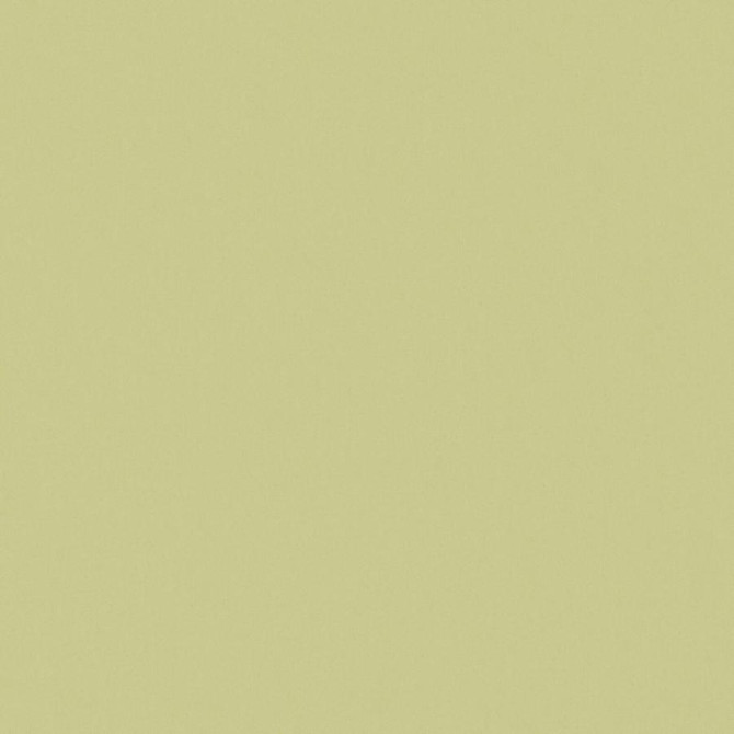 Zaitun # 520 Apple by Maxwell Designer Fabric Pure & Simple Xvi 100% ORGANIC COTTON INDIA 55" - Swanky Fabrics -