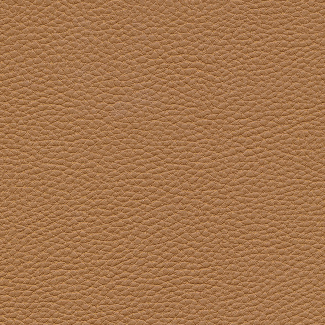 Tebessa-Nj 150 Pinto by Maxwell Designer Fabric MEMOS ONLY-COATED FABRICS FACE: 100% PVC VIETNAM   54"  - Swanky Fabrics -