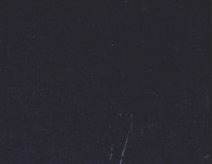 Belmont Ink 453 by Norbar Designer Fabric BELMONT 62% POLYESTER 38% COTTON INDIA 54 - Swanky Fabrics -