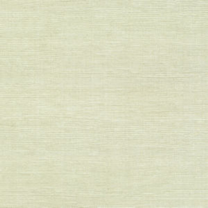 Famous Ivory by Norbar Designer Fabric FAMOUS 100% COTTON SPAIN 54 - Swanky Fabrics - Famous Ivory by Norbar Designer Fabric FAMOUS 100% COTTON SPAIN 54 - Swanky Fabrics -