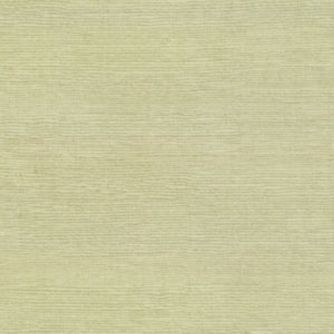 Famous Sand by Norbar Designer Fabric FAMOUS 100% COTTON SPAIN 54 - Swanky Fabrics - Famous Sand by Norbar Designer Fabric FAMOUS 100% COTTON SPAIN 54 - Swanky Fabrics -