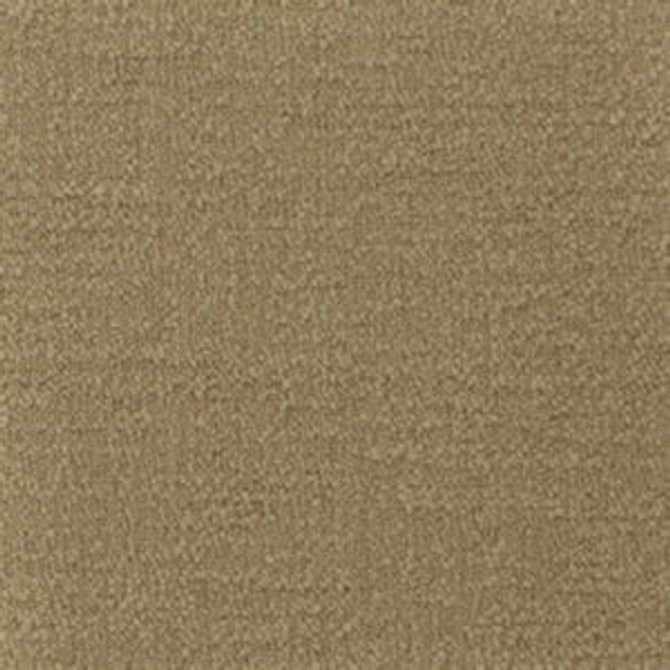 Prezzo Latte 045 by Norbar Designer Fabric PREZZO 100% POLYESTER INDIA 54 - Swanky Fabrics -