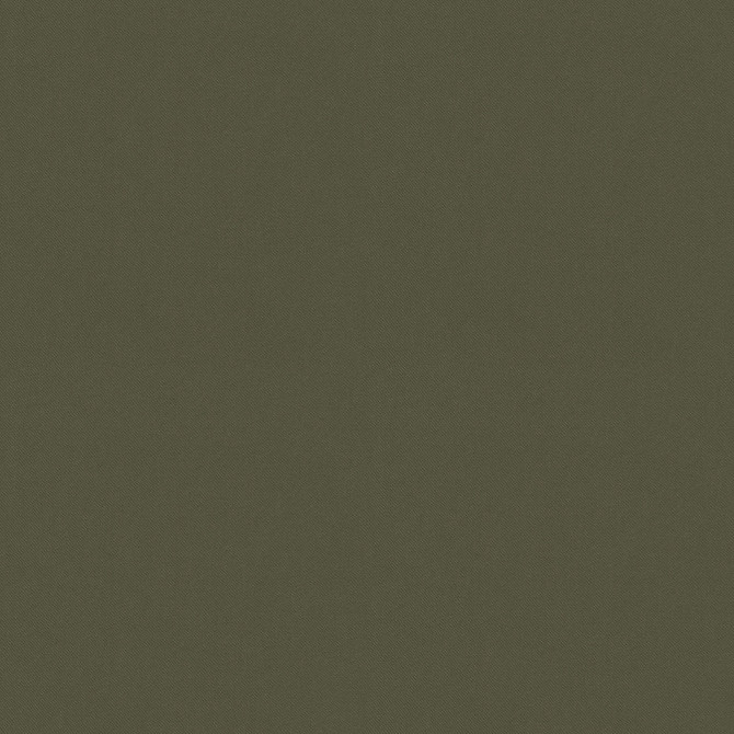 Raya Leaf 471409 by P/K LIFESTYLES Designer Fabric - 100% recycled polyester India 51000 Horizontal: 0 and Vertical: 0 56  - Swanky Fabrics -