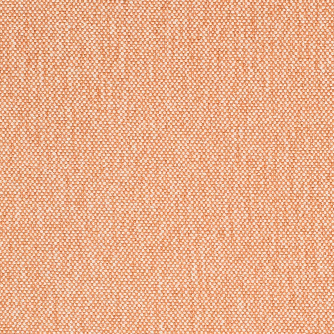 D4456 Peach by Charlotte Designer Fabric Eco Textures 57% Olefin, 43% Polyester USA </p><p>Repeat: No Repeat 54 Inches - Swanky Fabrics -
