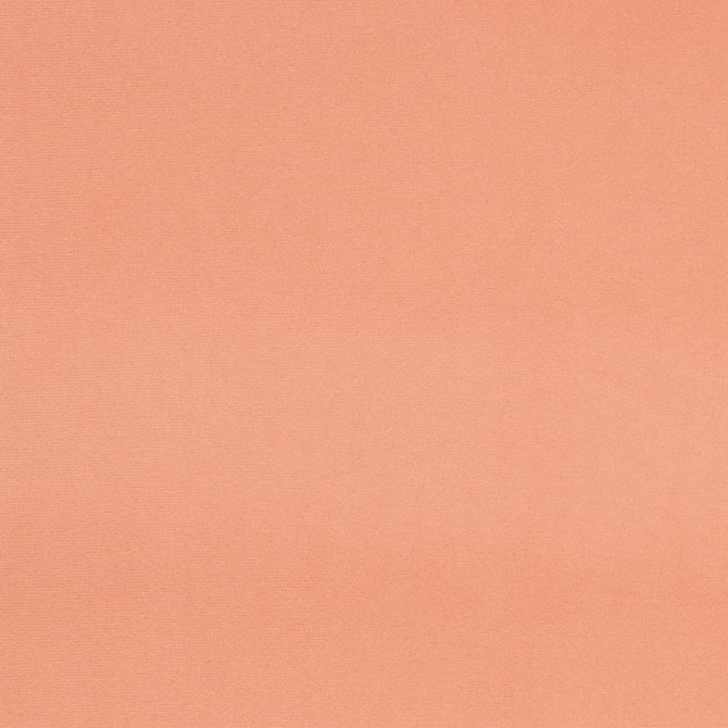 D4504 Blush by Charlotte Designer Fabric Sueded Velvet 100% Polyester, Fleece Backing Asia </p><p>Repeat: No Repeat 54 Inches - Swanky Fabrics -