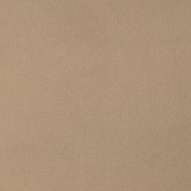 D4513 Dove by Charlotte Designer Fabric Sueded Velvet 100% Polyester, Fleece Backing Asia </p><p>Repeat: No Repeat 54 Inches - Swanky Fabrics -