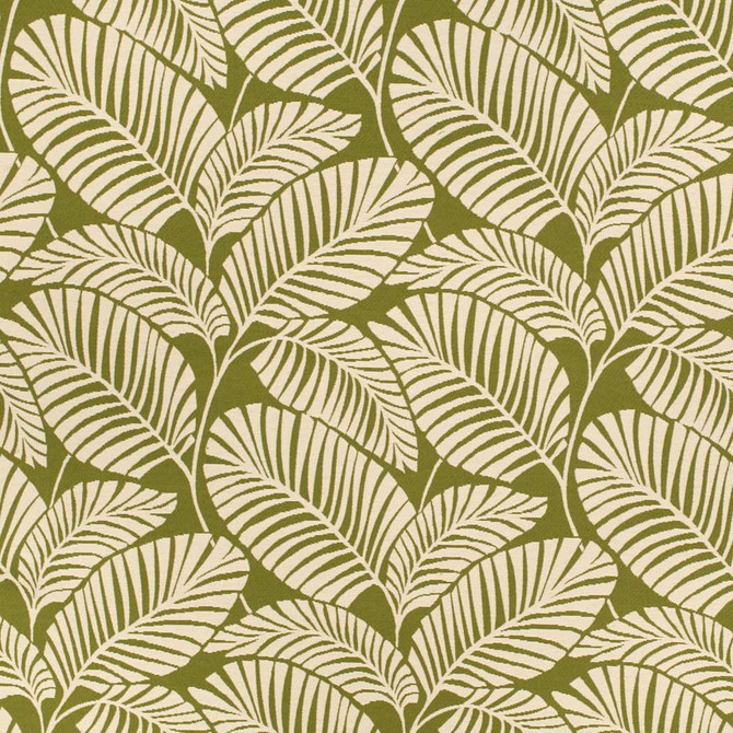 D4558 Palm Grass by Charlotte Designer Fabric Veranda II 71% Polypropylene, 29% Polyester Mexico </p><p>Repeat: Horizontal 11.5" x Vertical 22" 54 Inches - Swanky Fabrics -