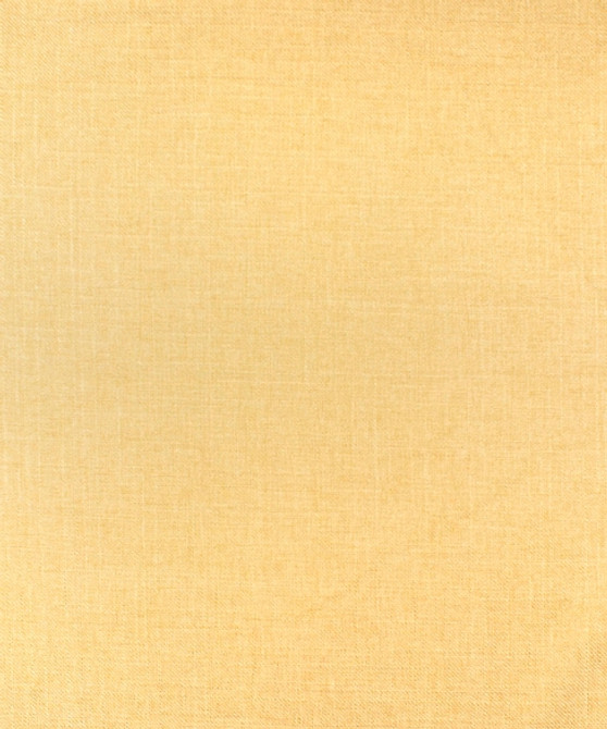 M9871 51205 by Barrow  Designer Fabric Barrow Gallery 76% Polyester (F), 24% Polyester (S) China 50,000 Double Rubs </p><p>Repeat: Horizontal:  and Vertical:  57"  - Swanky Fabrics -