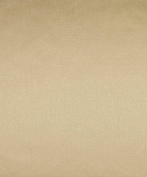 M7407B 5306 by Barrow  Designer Fabric Barrow Gallery 100% Polyester Filament Non-Textured China 50,000 Double Rubs </p><p>Repeat: Horizontal:  and Vertical:  58"  - Swanky Fabrics -