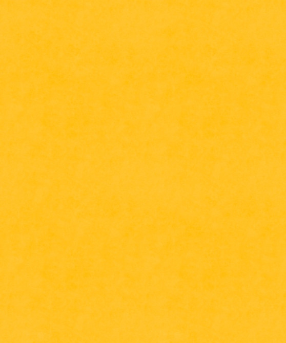 M9989 51201 by Barrow  Designer Fabric Barrow Gallery 100% Polyester Knit Pile Fabric China 30,000 Double Rubs </p><p>Repeat: Horizontal:  and Vertical:  57"  - Swanky Fabrics -